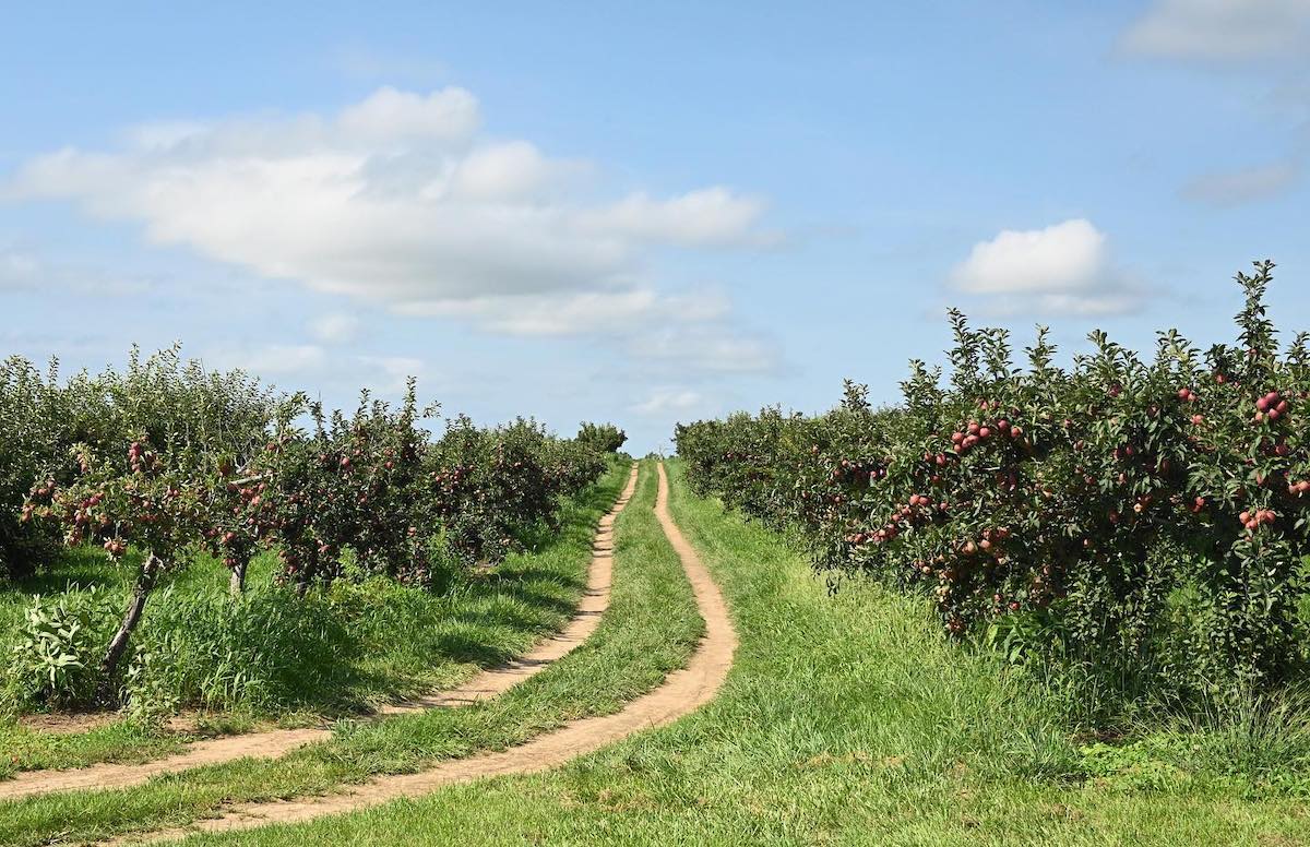 greig farm red hook ny